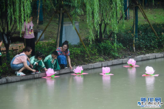 学制荷花灯